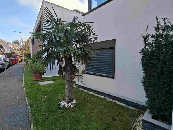 Kiadó lakás Pécs 1